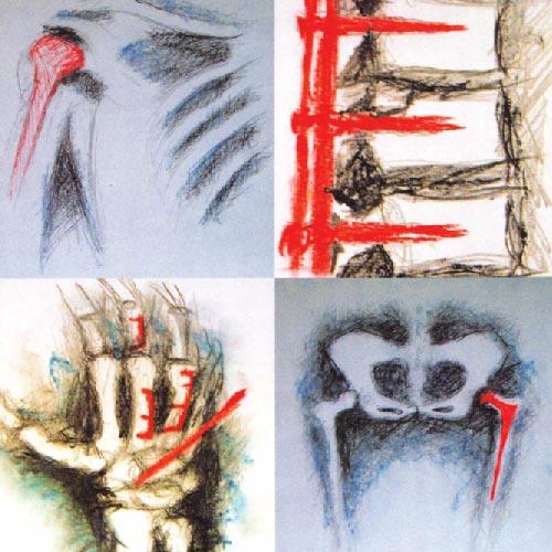 ΑΝΔΡΙΑΝΟΠΟΥΛΟΣ ΝΙΚΟΛΑΟΣ